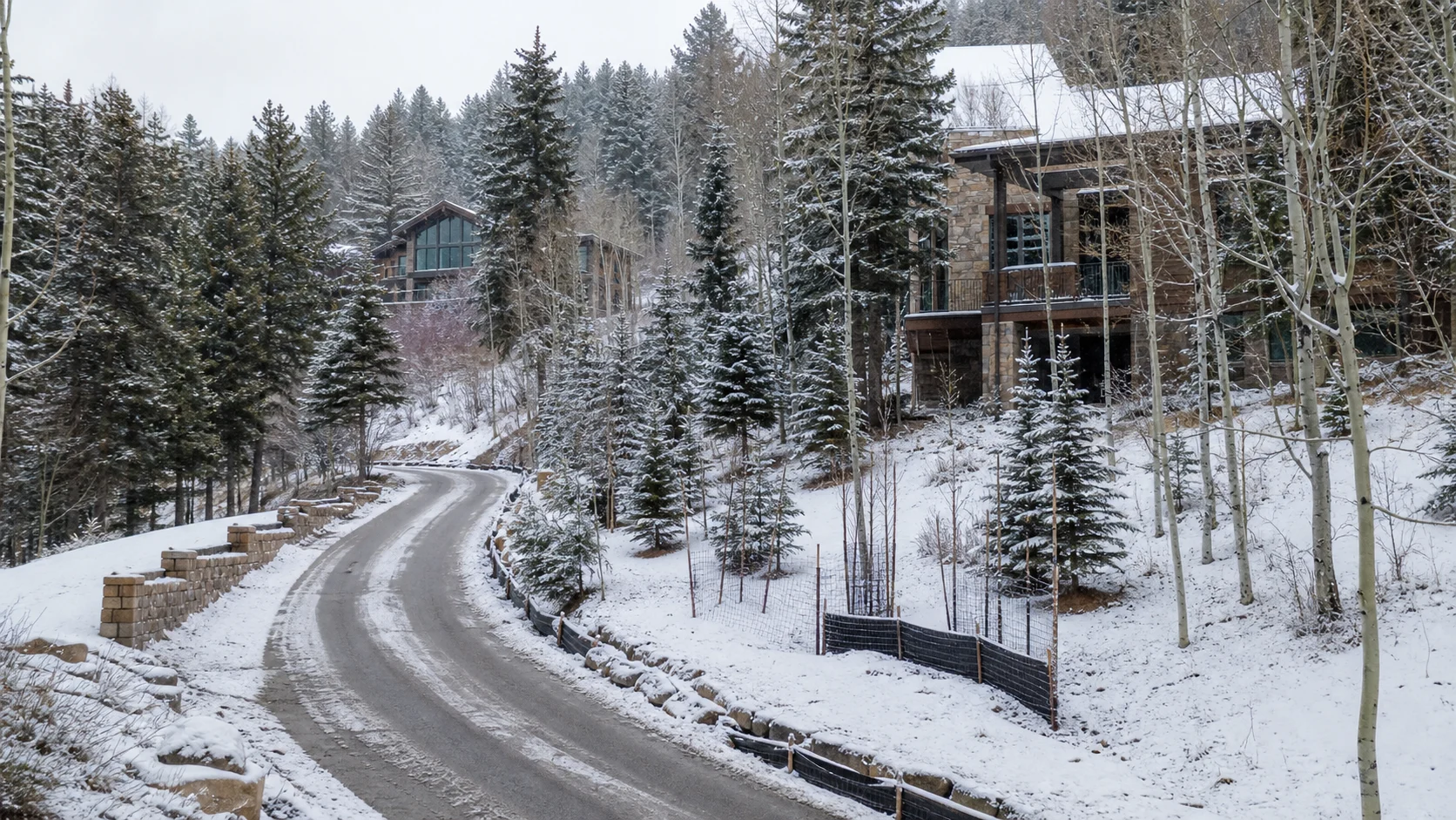 A ploughed hillside road beside mountain homes among snow-covered trees