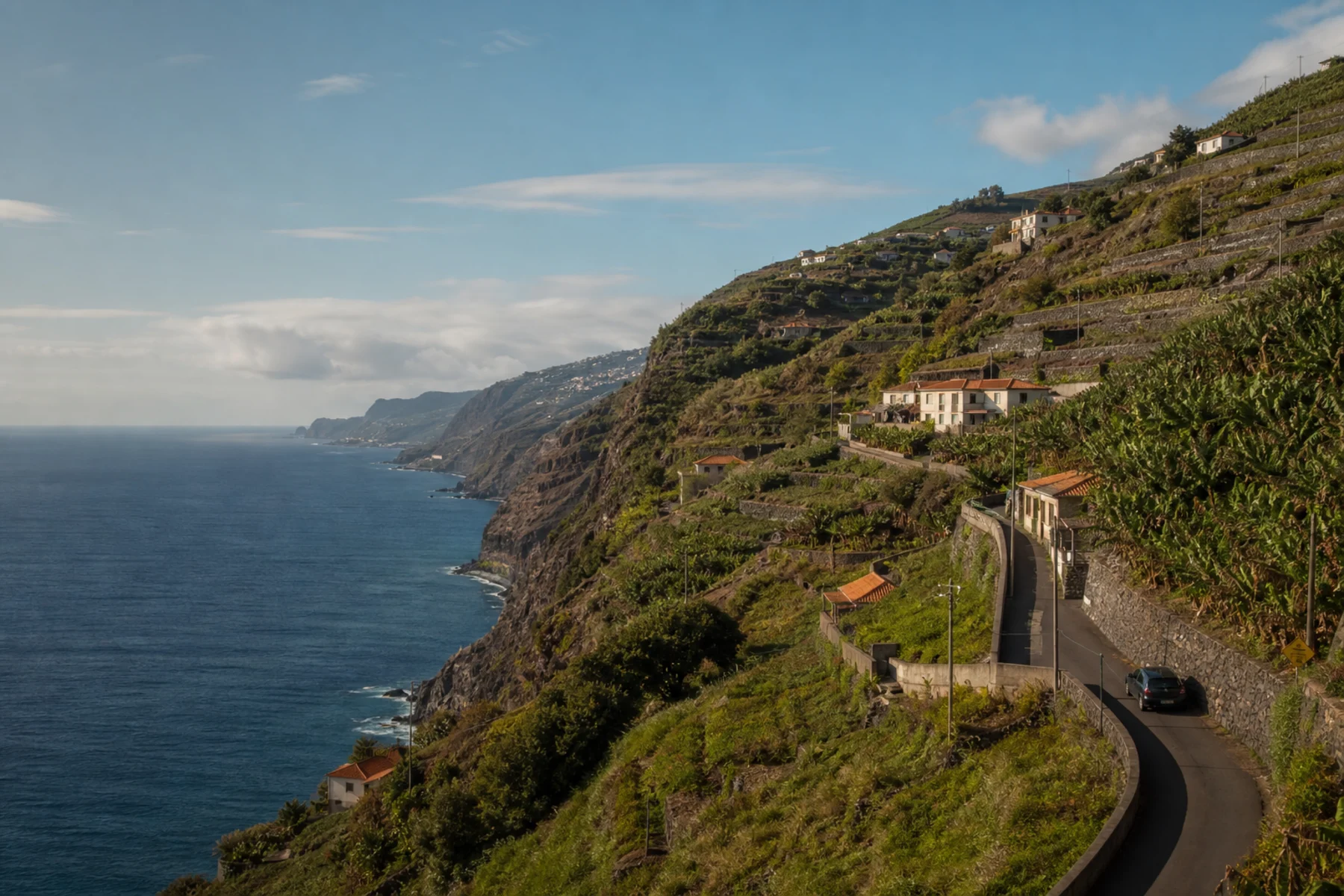 Homes and terraced fields on the steep coast near Calheta