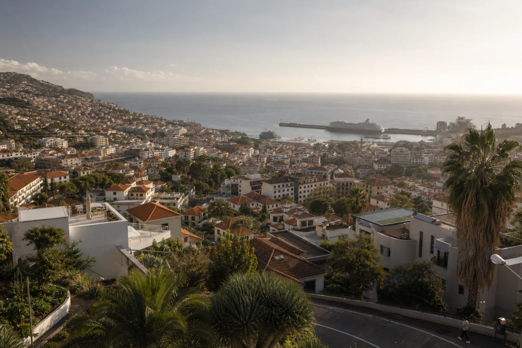 Funchal rising from the Atlantic with dense services set against Madeira's steep terrain