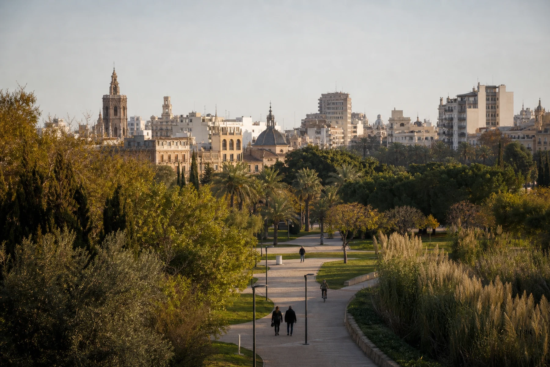 Valencia skyline and the Turia gardens in warm morning light